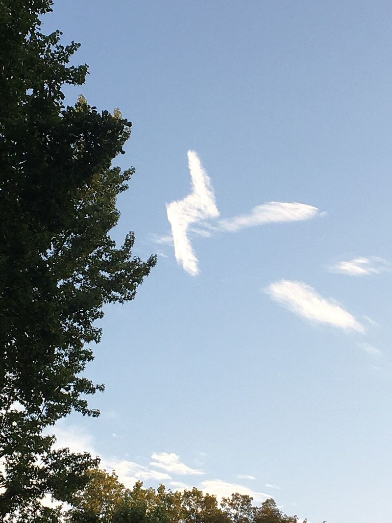 Growing Up Means Carrying The Hard Parts Forward