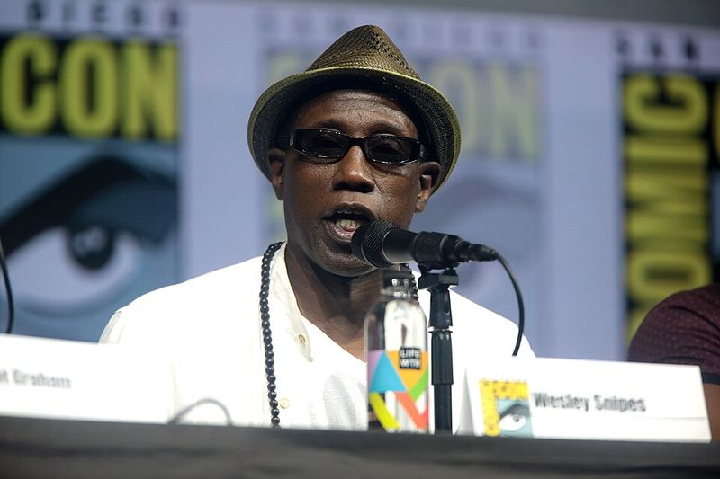 Wesley Snipes - Blade Star's Negative $9 Million Nightmare