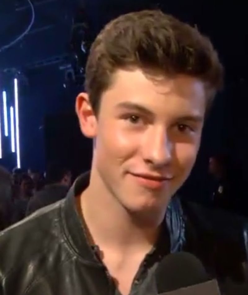 Shawn Mendes: The Younger Brother Vibe