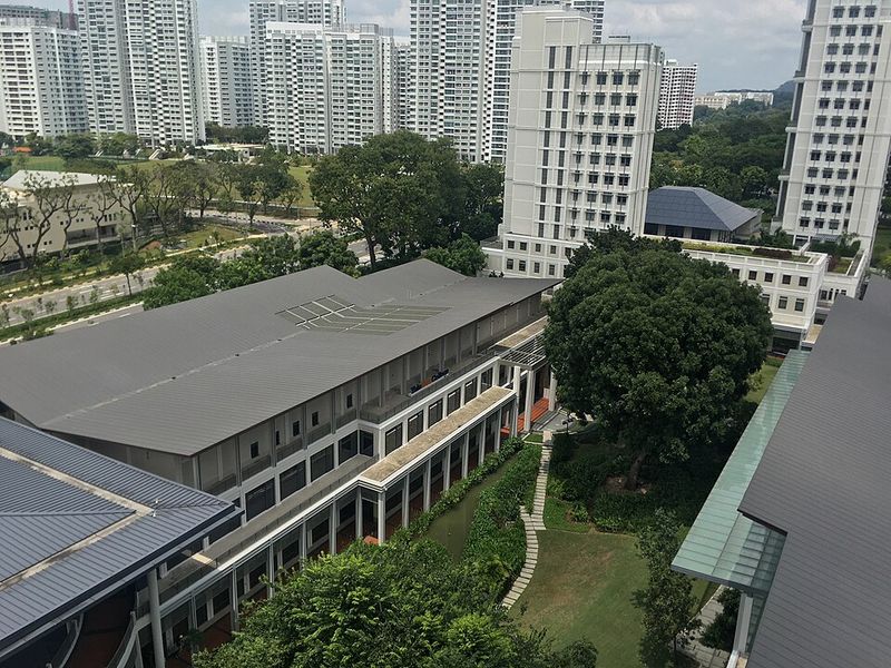 Quitting Yale Over Harsh Feedback