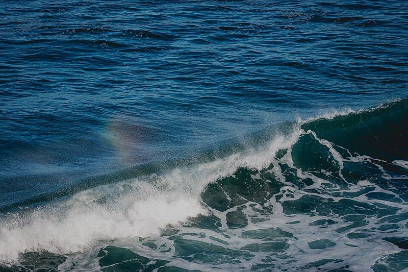 What's the Largest Ocean Covering Our Planet?