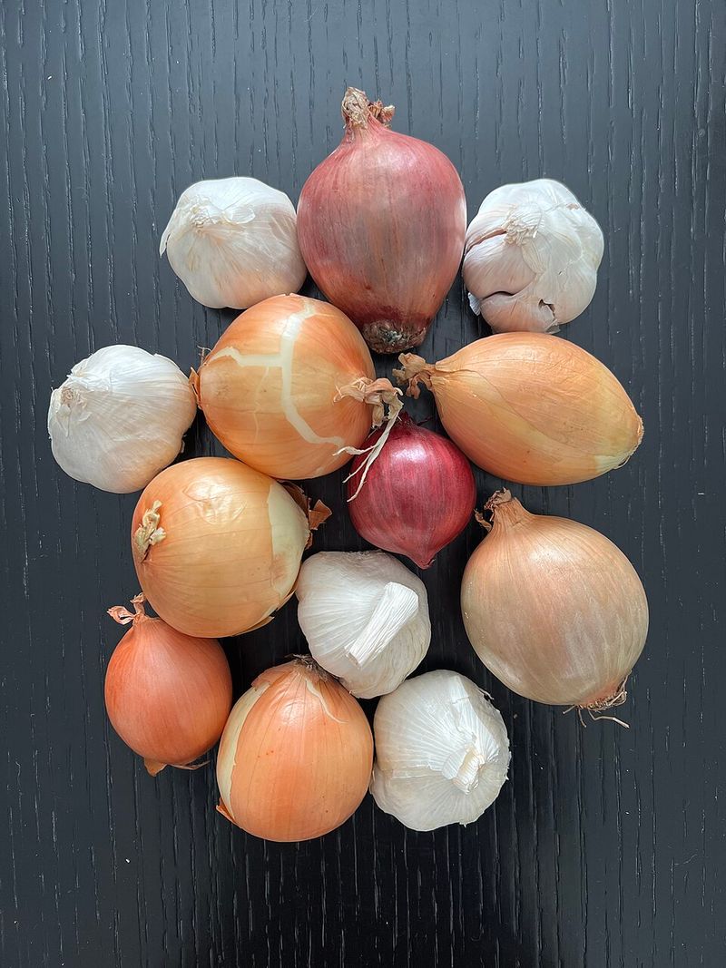 Alliumphobia: Fear of Garlic and Onions