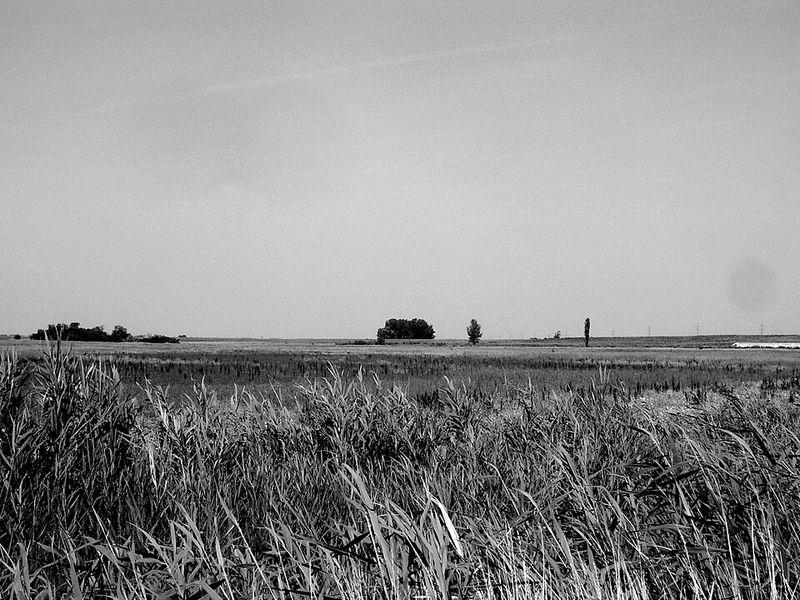 Sátántangó (1994)