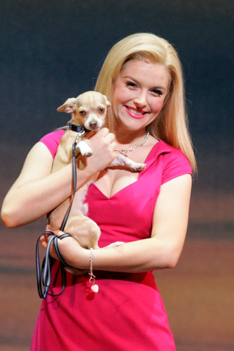 Elle Woods in 'Legally Blonde'