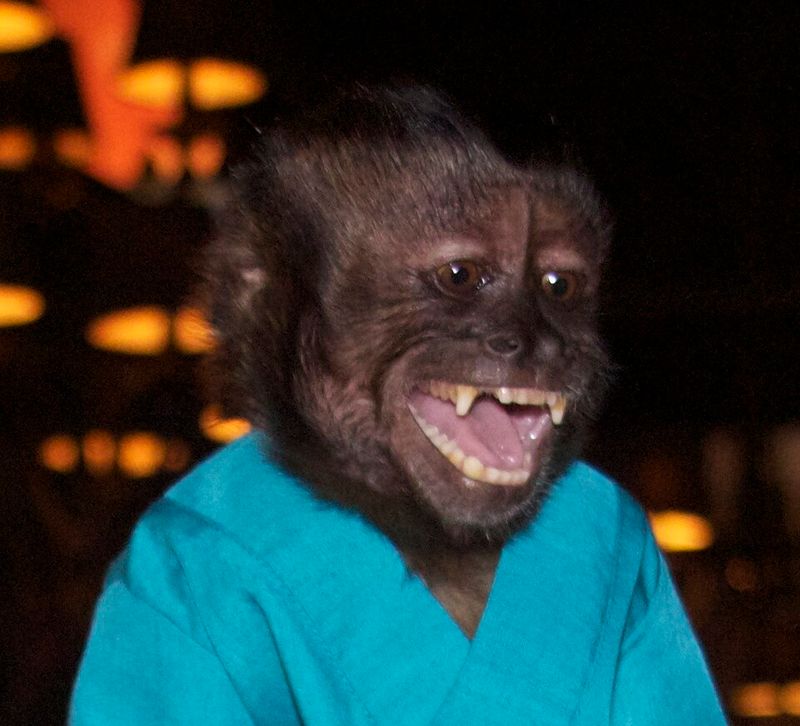 Crystal the Monkey