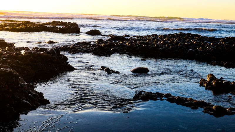 Bird Rock Pocket Beaches