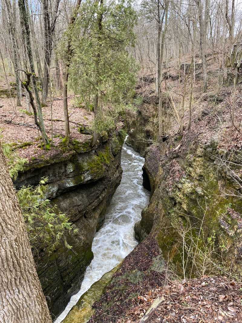 Clifton Gorge State Nature Preserve