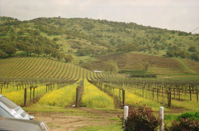 Sonoma