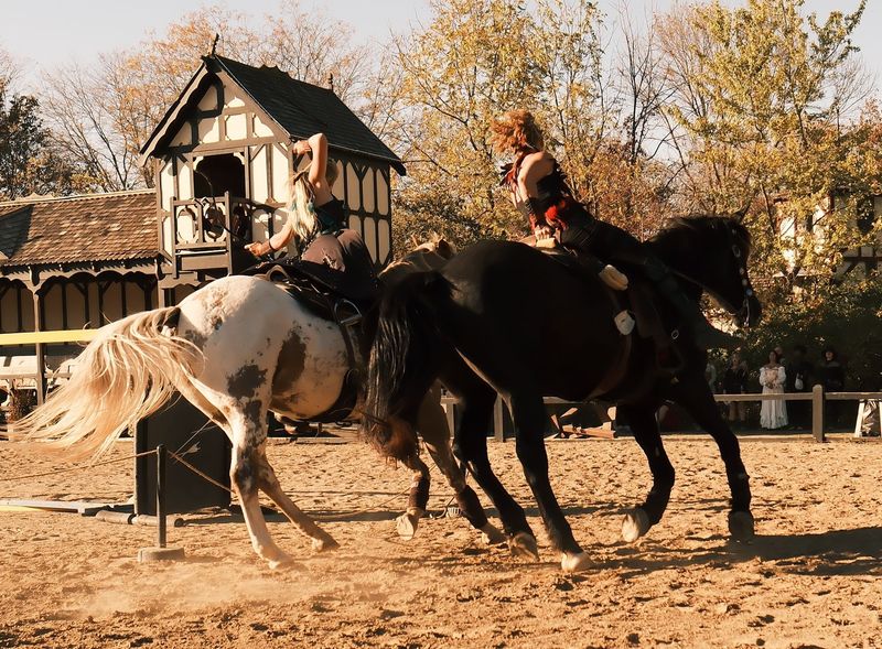 Ohio Renaissance Festival