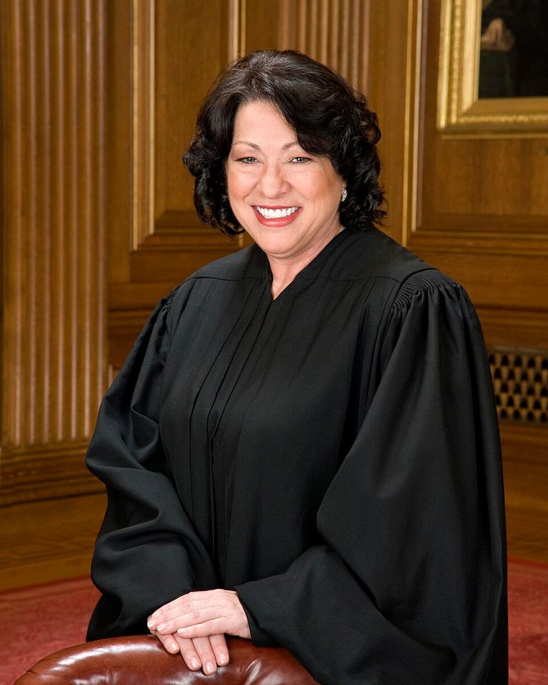 Sonia Sotomayor (Type 1)