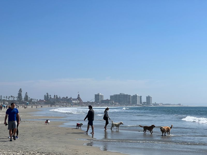 Coronado Dog Beach