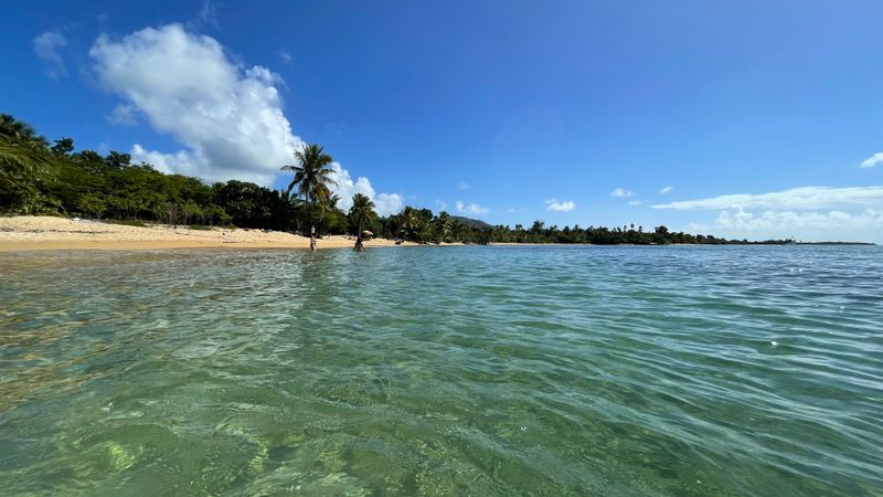 Playa Punta Arenas (Green Beach)