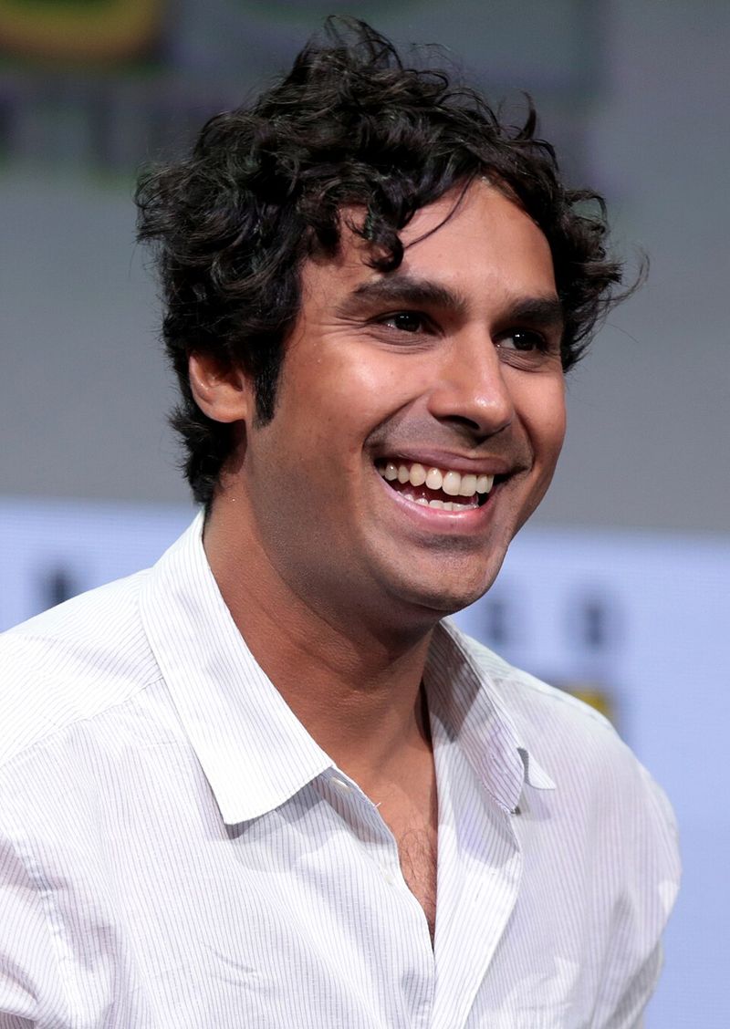 Kunal Nayyar Continues Voice Work and Guest Appearances
