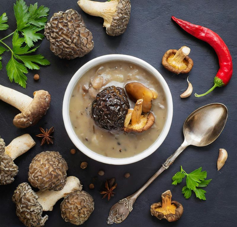Morel Mushroom Dishes