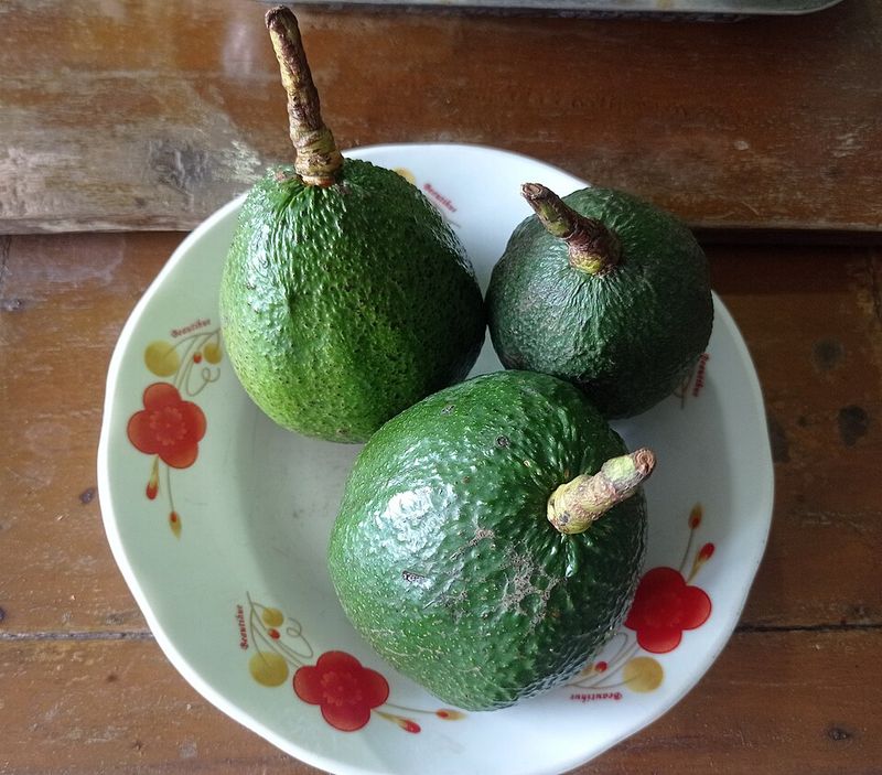 Avocados Fuel Connection