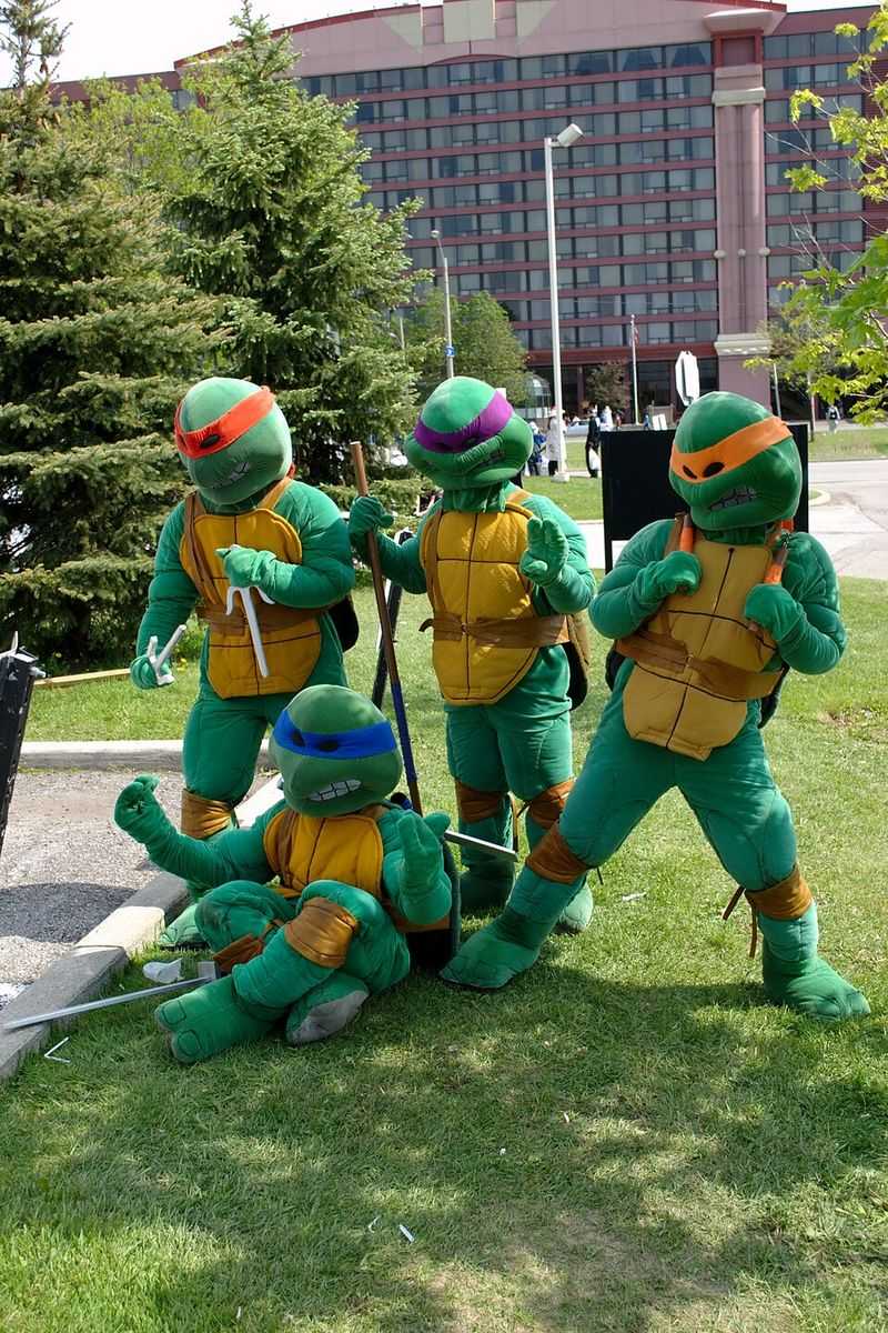 Teenage Mutant Ninja Turtles