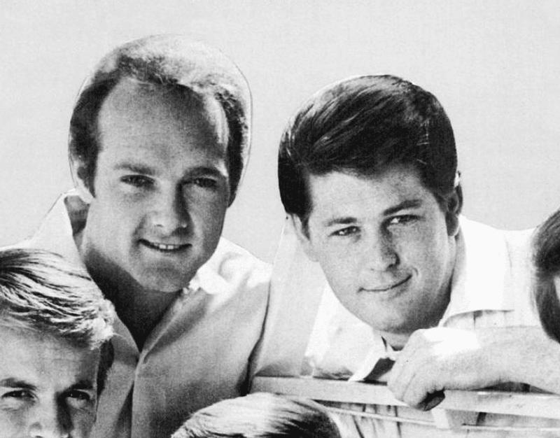 The Beach Boys - Brian Wilson Vs Mike Love