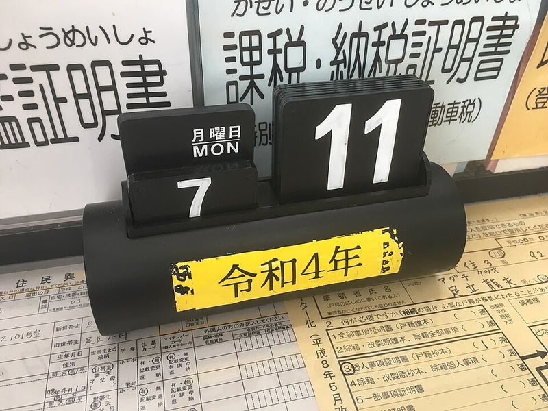 How Many Days Fill a Leap Year?