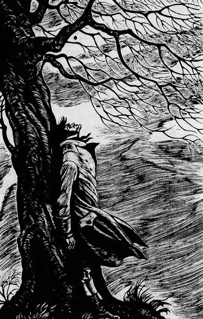 Characters Inspire Strong Opinions