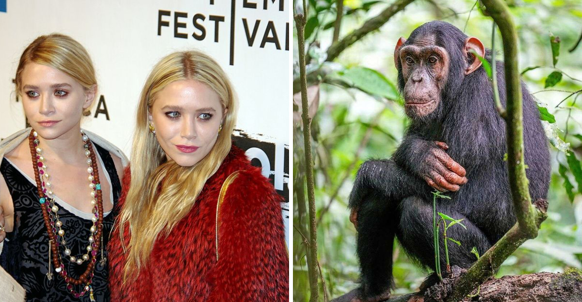 10 Behind-The-Scenes Facts About The ‘Full House’ Set