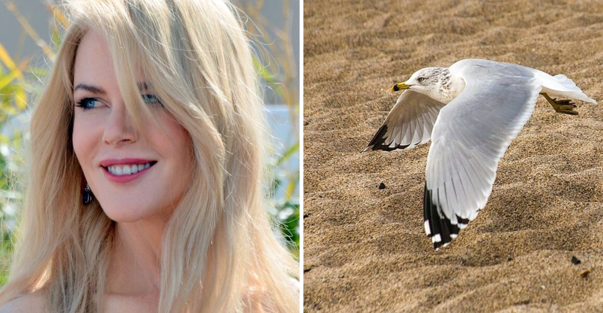 13 Celebrities With Surprisingly Strange Phobias