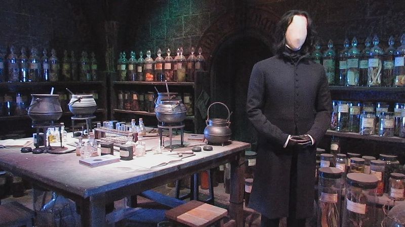 Severus Snape (Harry Potter Series)