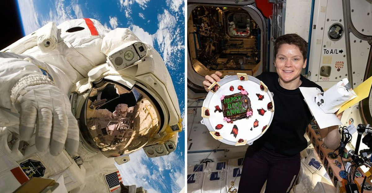 15 Cosmic Cuisine Ideas Astronauts Feast On In Space