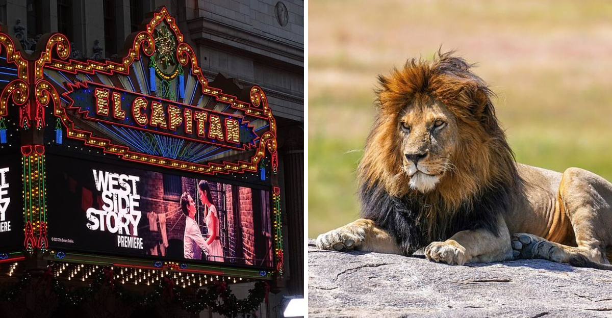 15 Shakespeare Adaptations That Brought The Bard To Modern Cinema