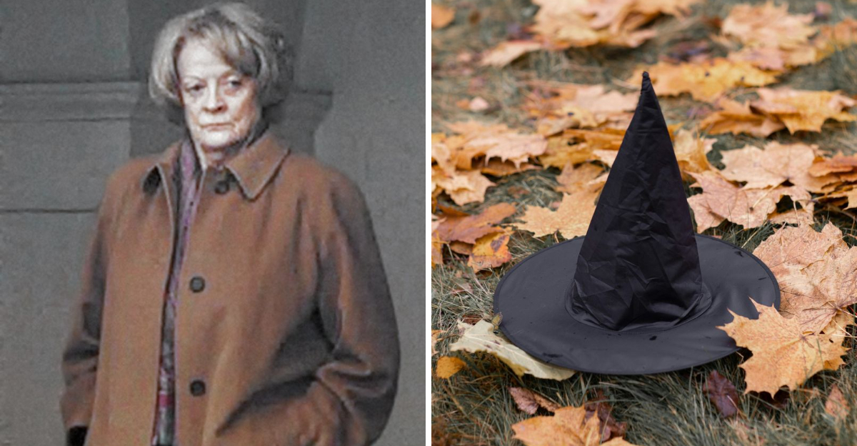 15 Things To Know About Minerva McGonagall