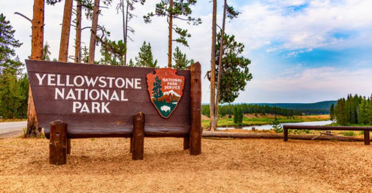 15 Yellowstone Mistakes Visitors Make And How To Dodge Them