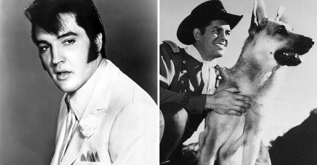 16 Famous Musicians Who Had A Dark Side Offstage