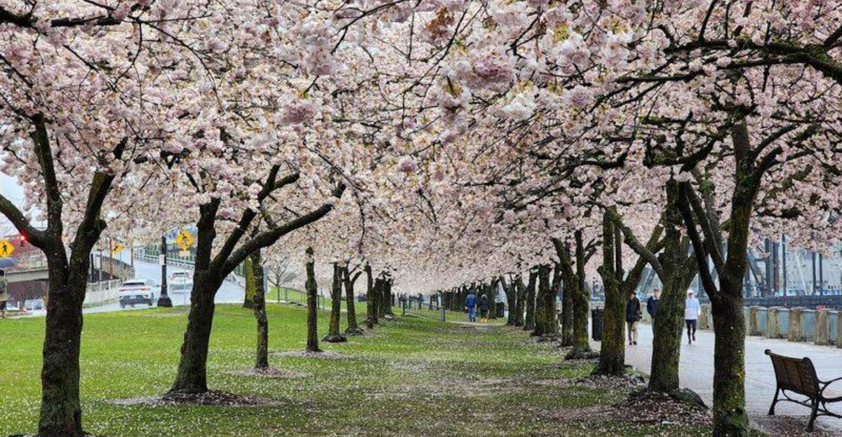18 Beautiful Places Across The US That Shine Brightest In Spring