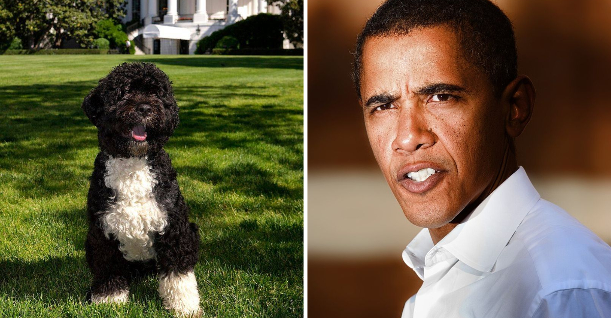 20 Famous Celebrities Who Can’t Resist Their Dogs