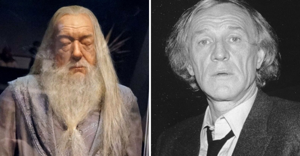 7 Harry Potter Actors Who Got Replaced And The Stories Behind It