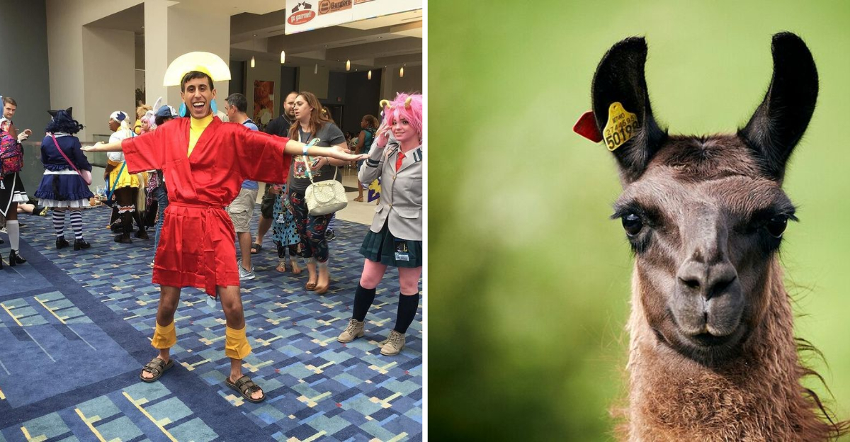 7 Wild Transformations Where Characters Became Animals