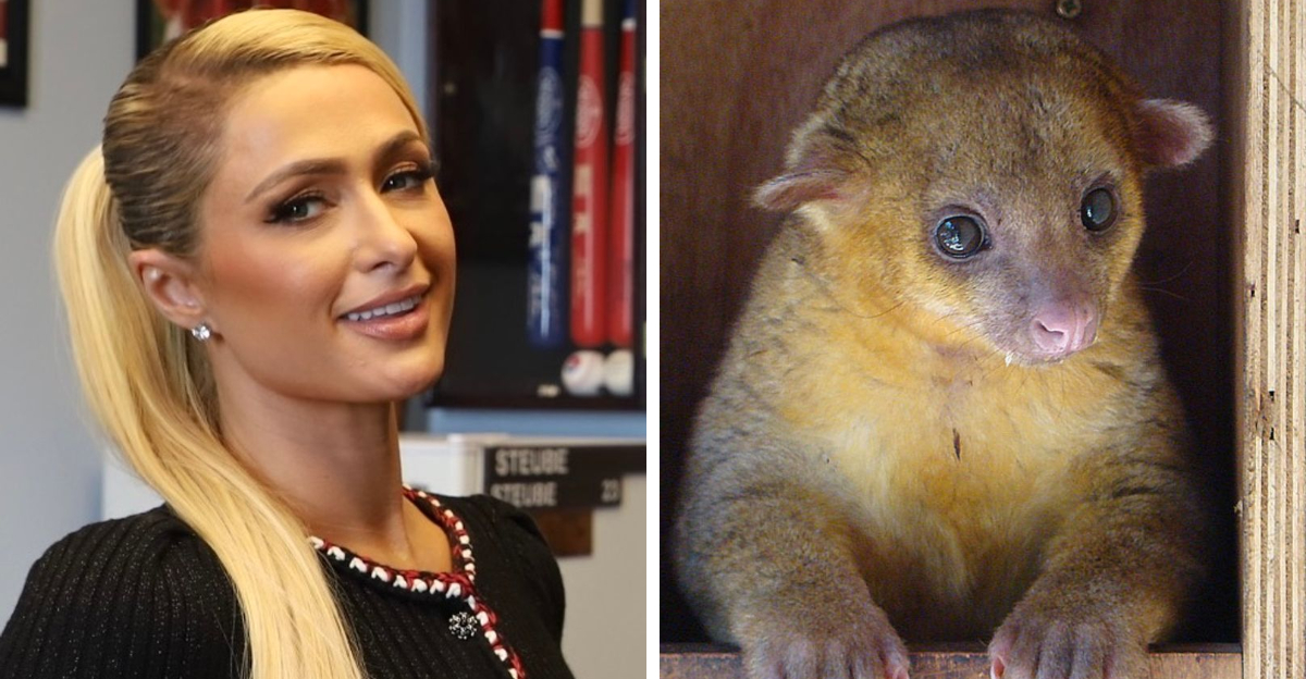 7 Wildly Unusual Pets Celebrities Have Owned Over The Years