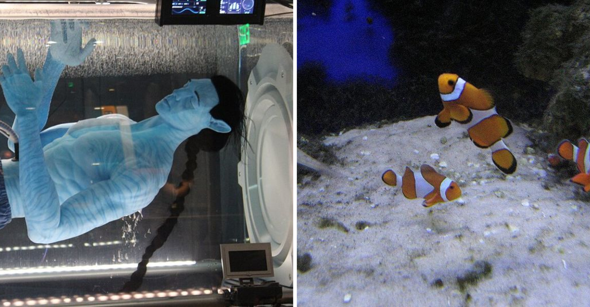 9 Incredible Movies Streaming On Hulu You Shouldn’t Miss