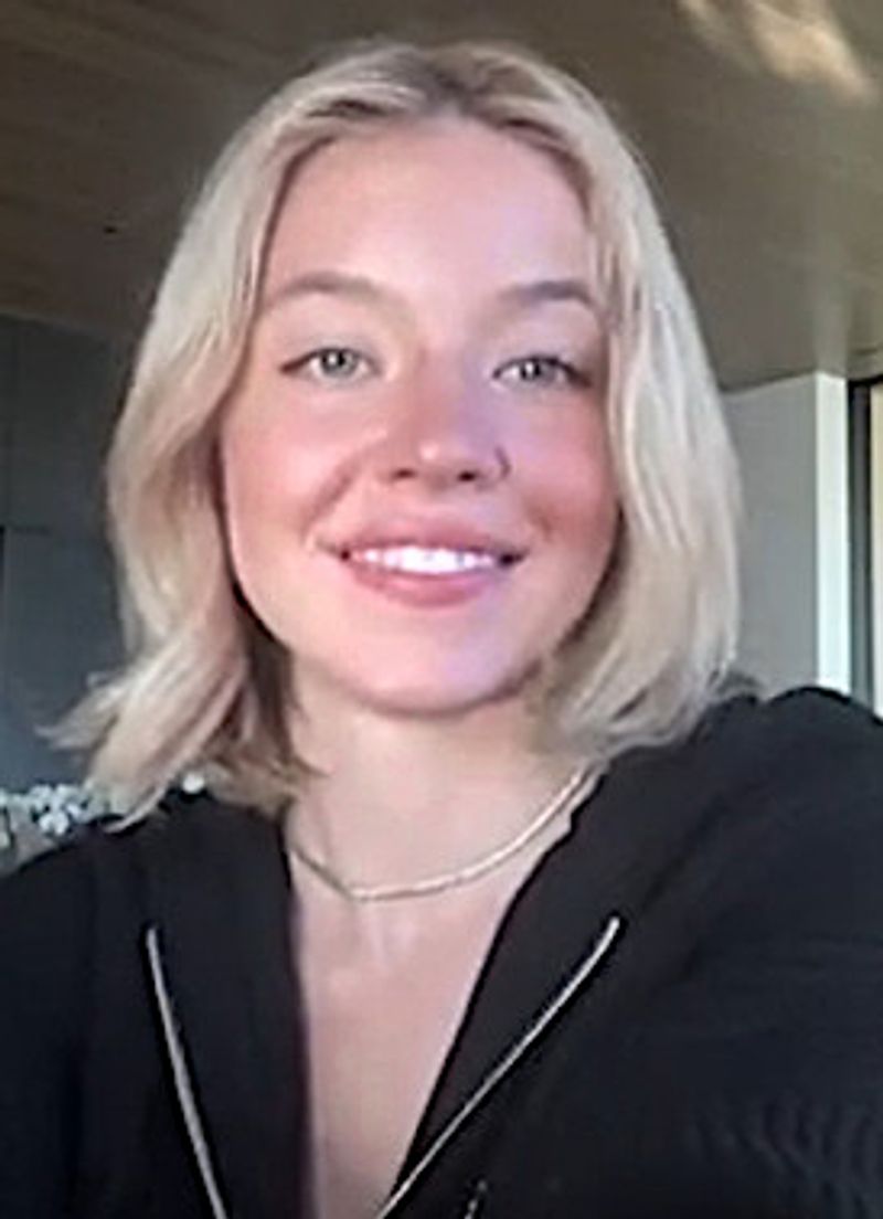 Shooting Star in Under the Silver Lake (2018)