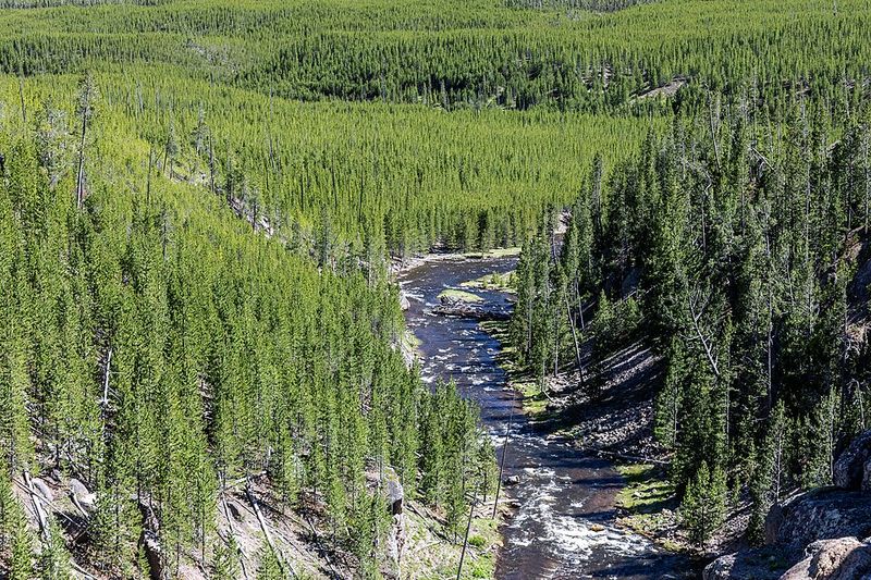 Underestimating How Huge The Park Is