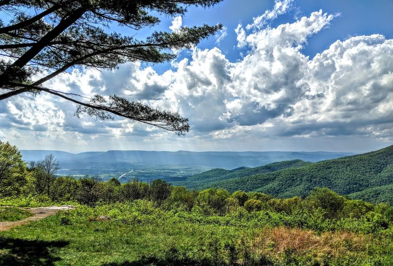 Shenandoah National Park, Virginia