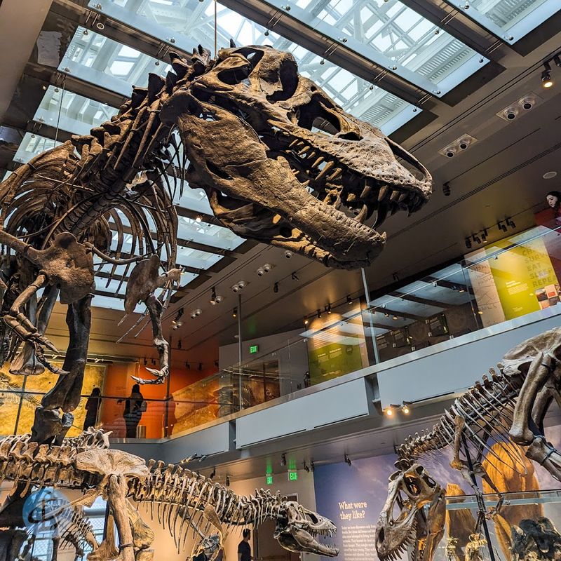 Natural History Museum Of Los Angeles County