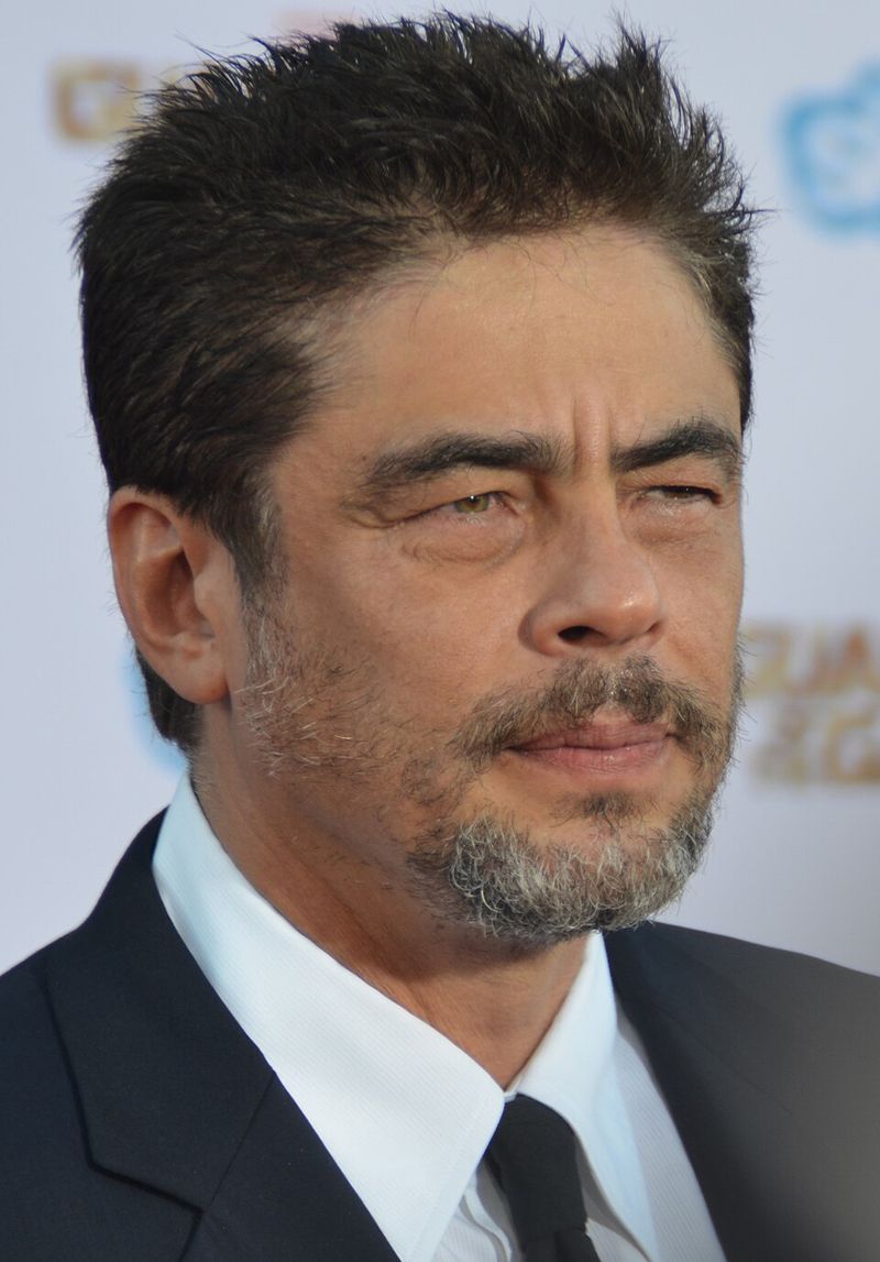 Benicio Del Toro's Eccentric Collector