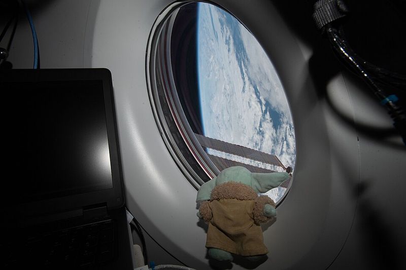 The Mandalorian's Grogu