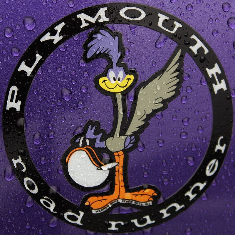 The Roadrunner's Highway Is Full of Physics Jokes