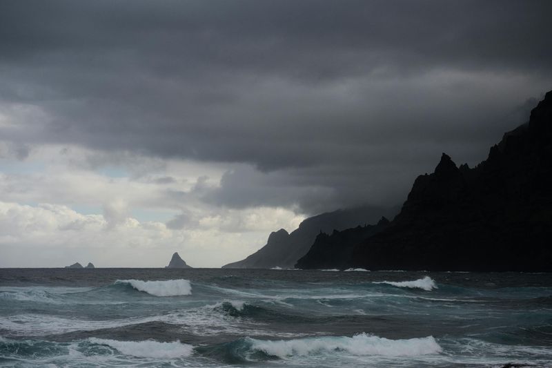 Storm Warning by Alice Henderson