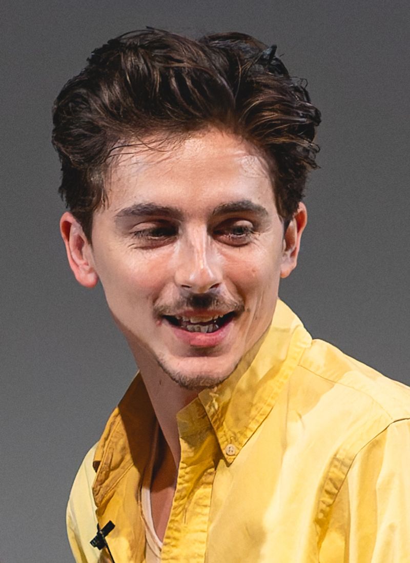 A Complete Unknown (2024)