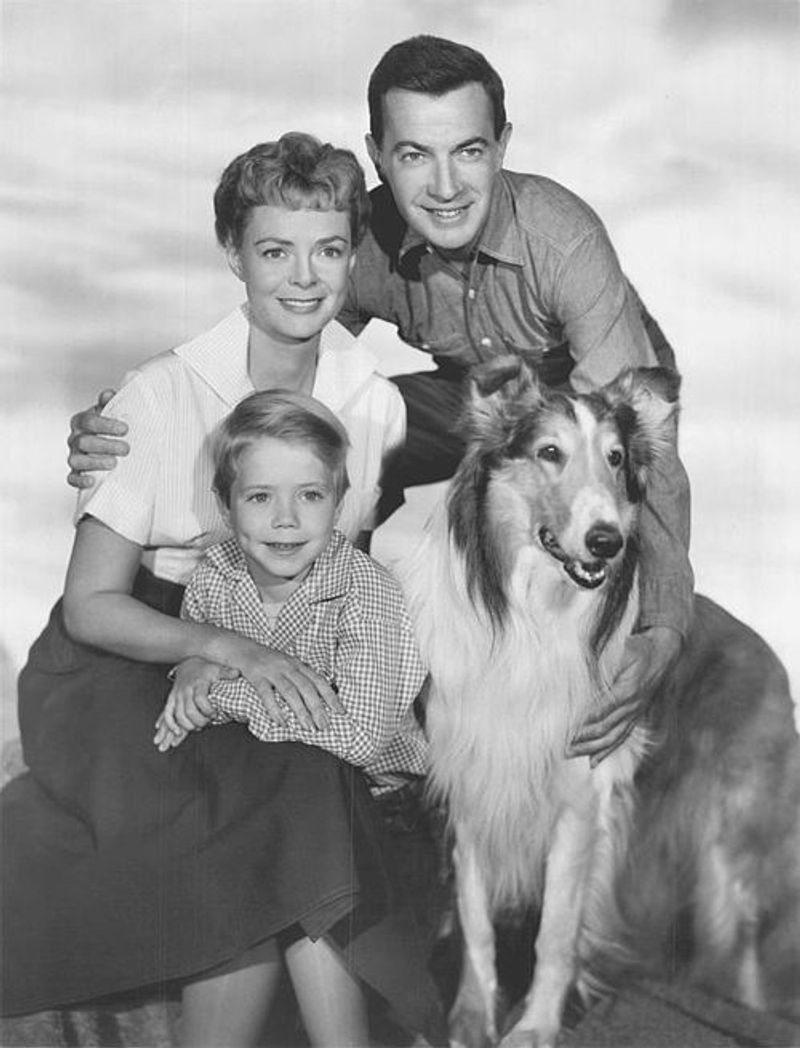 Lassie (1954-1973)