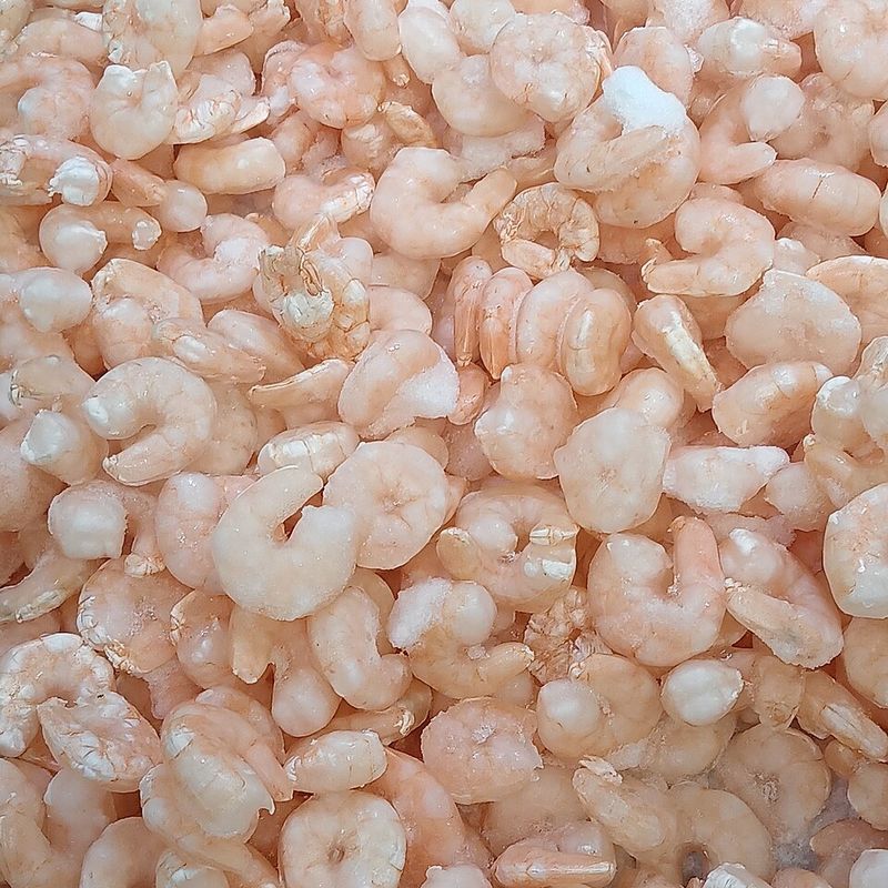 Frozen Shrimp