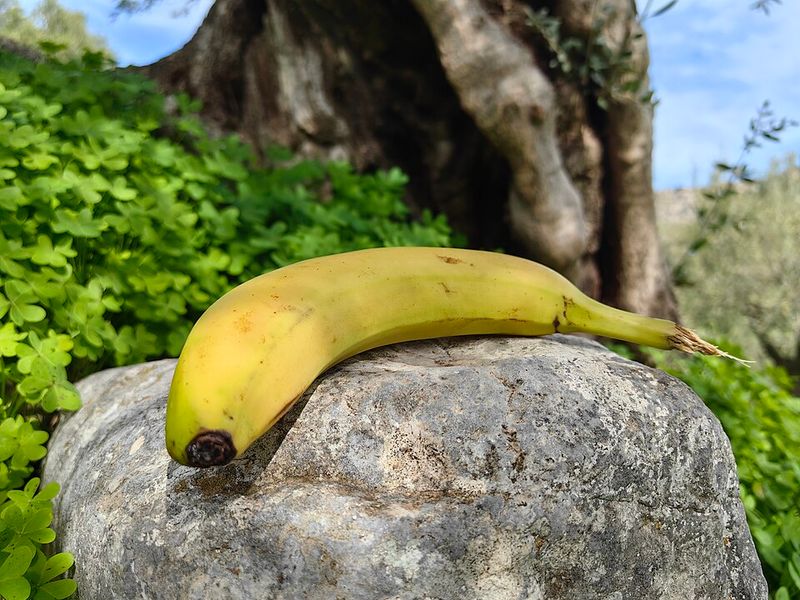 Sunny Anderson's Banana