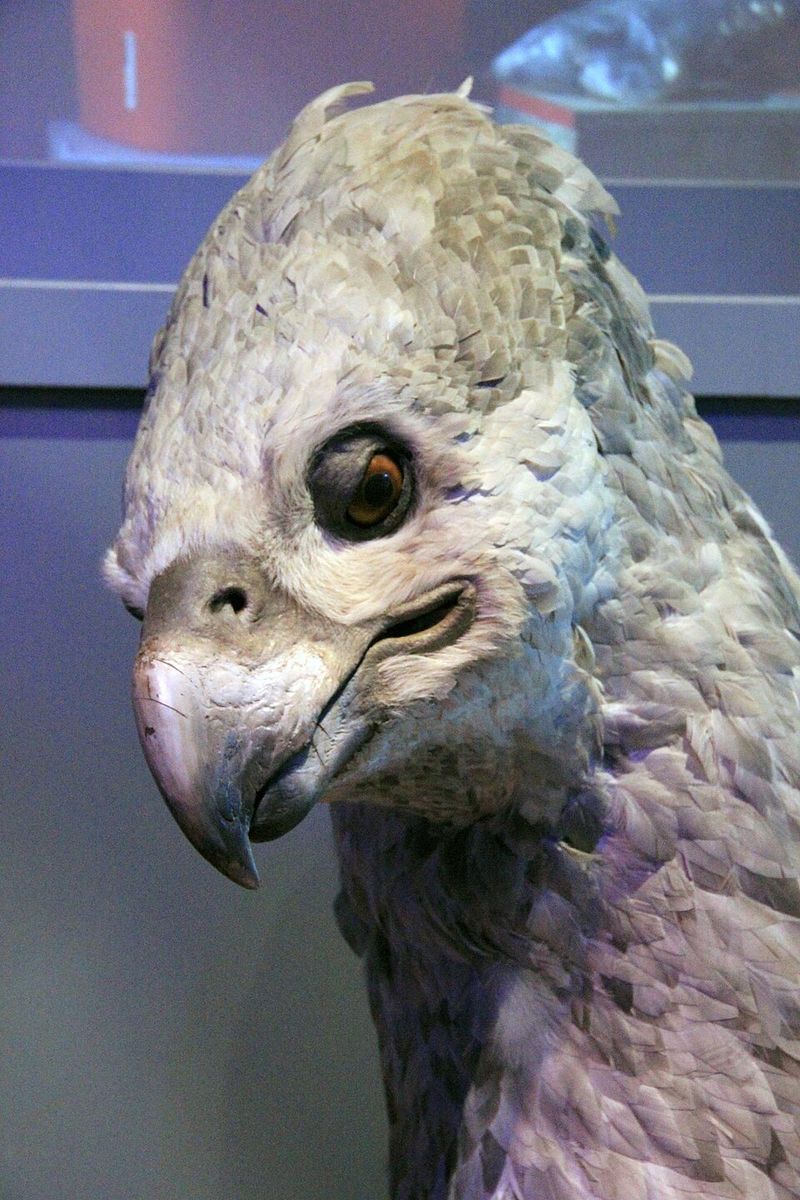 Buckbeak Lesson Reveals Hagrid’s Vulnerability